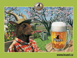 kozel na jare.jpg